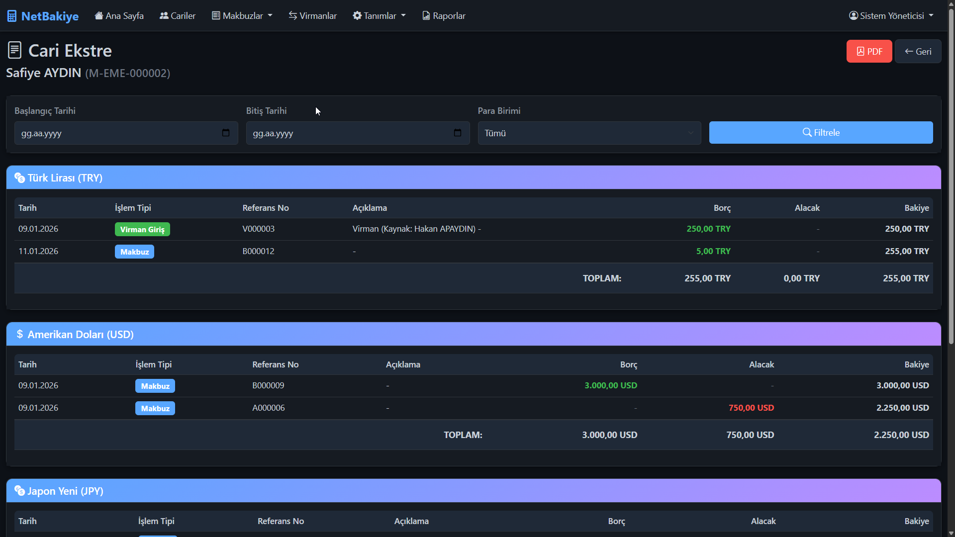 Dövizli Cari Hesap Programı Yönetimi