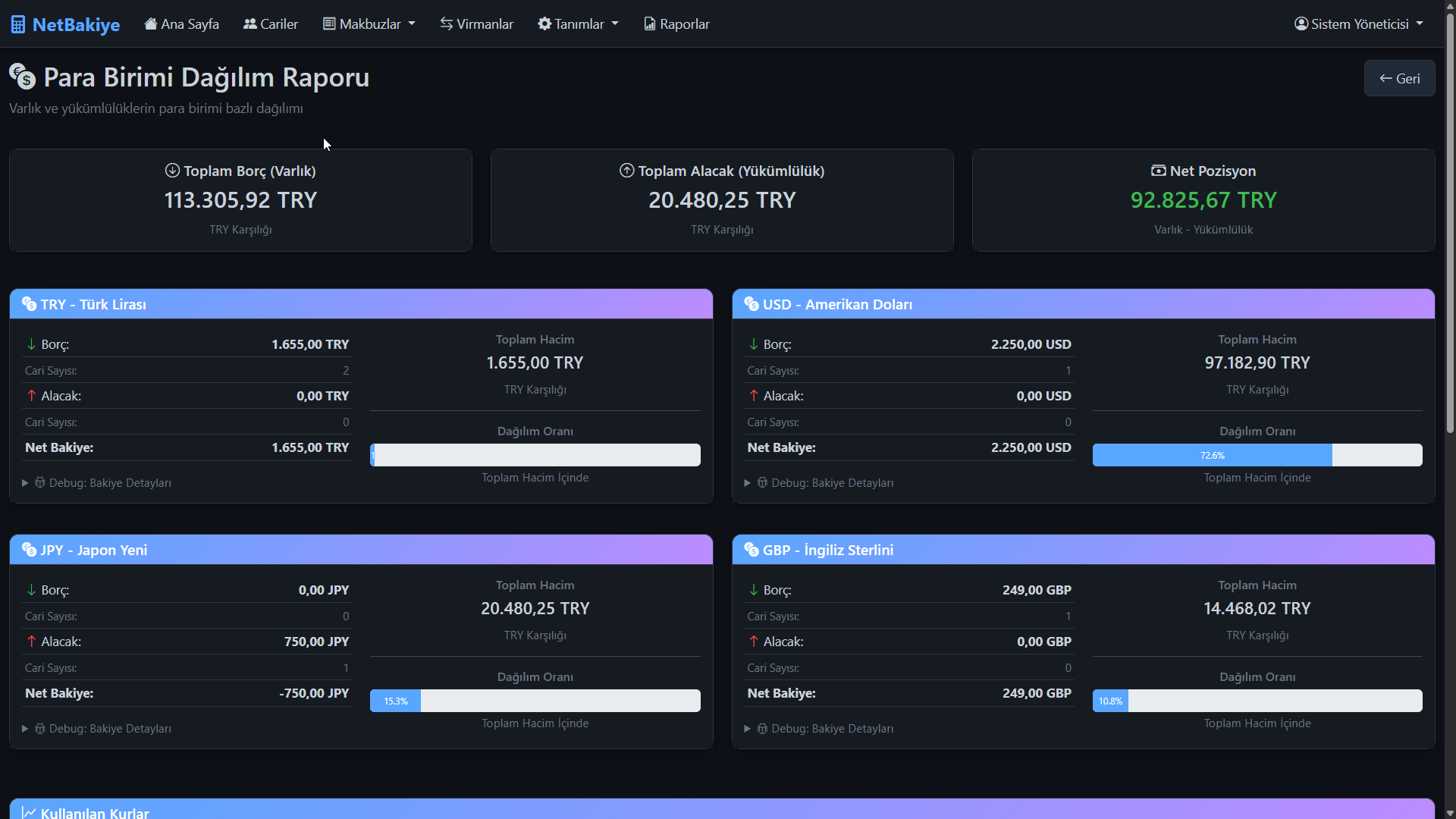 Para Birimi Dağılım Raporu - Borç Alacak Takibi